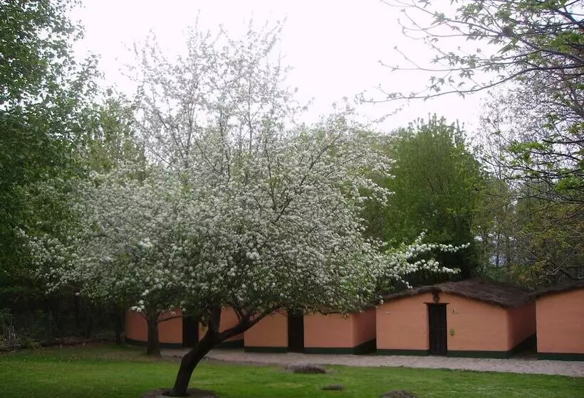 Albergue Turistico Valle Del Ambroz
