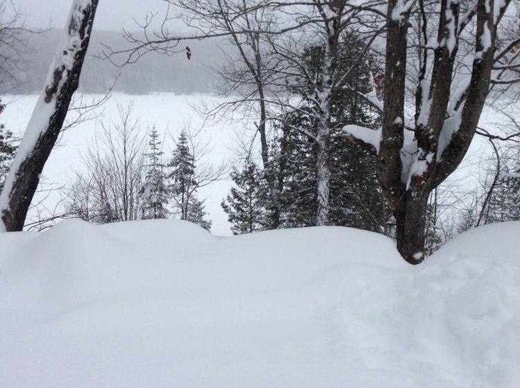 Chalet Les Fables Du Lac Lafontaine