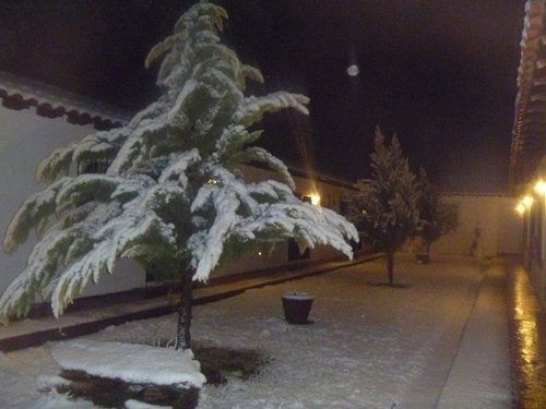 Отель Hacienda Santa Veronica