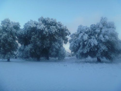 Отель Hacienda Santa Veronica
