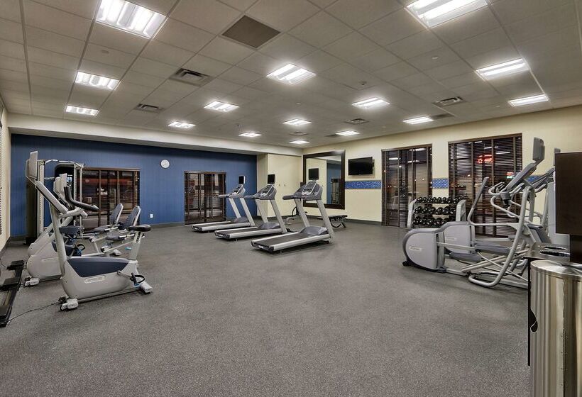 فندق Hampton Inn & Suites Las Cruces I10