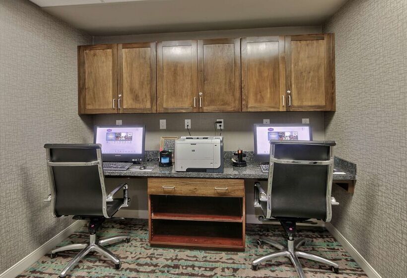 فندق Hampton Inn & Suites Las Cruces I10