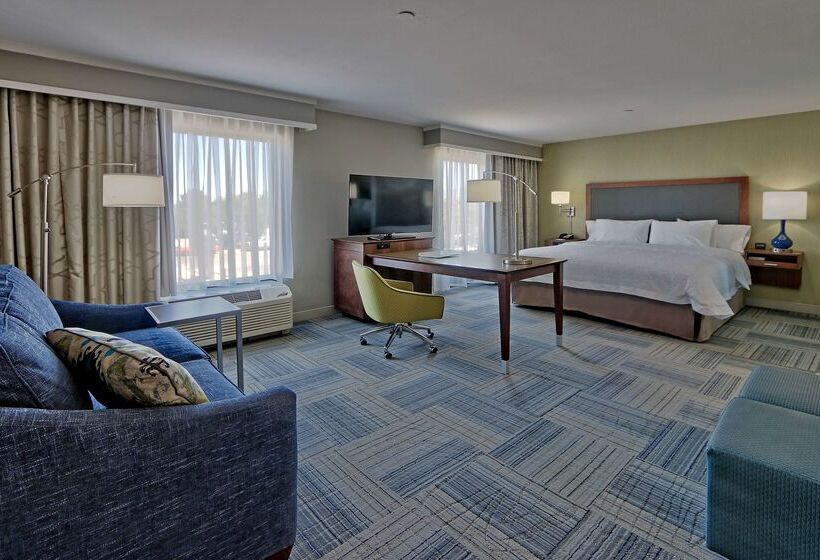 فندق Hampton Inn & Suites Las Cruces I10
