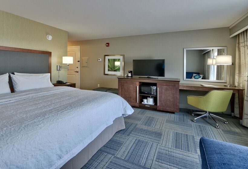 فندق Hampton Inn & Suites Las Cruces I10