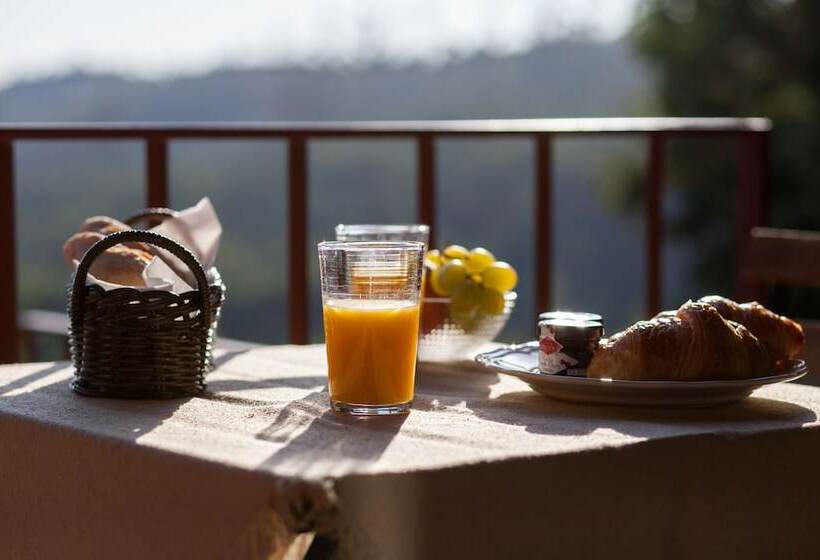 乡村酒店  Traços D Outrora