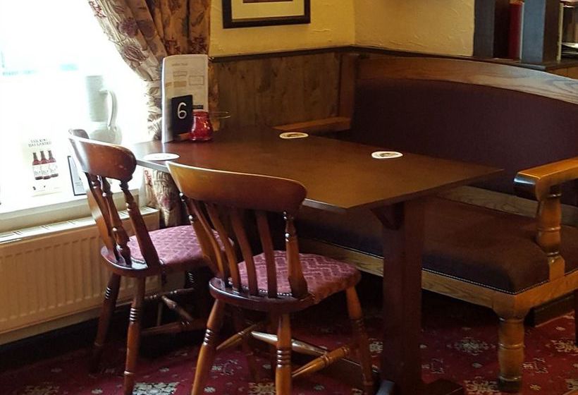 فندق The Soldier Dick