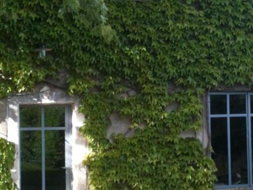 مبيت وإفطار La Foutelaie