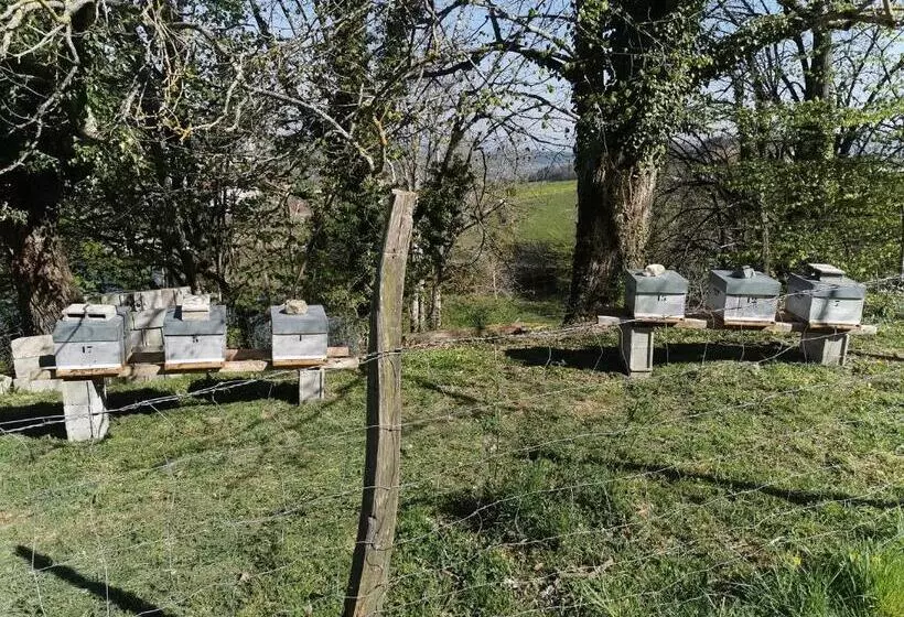 ベッドアンドブレックファースト Chambres D Hotes Ysalice