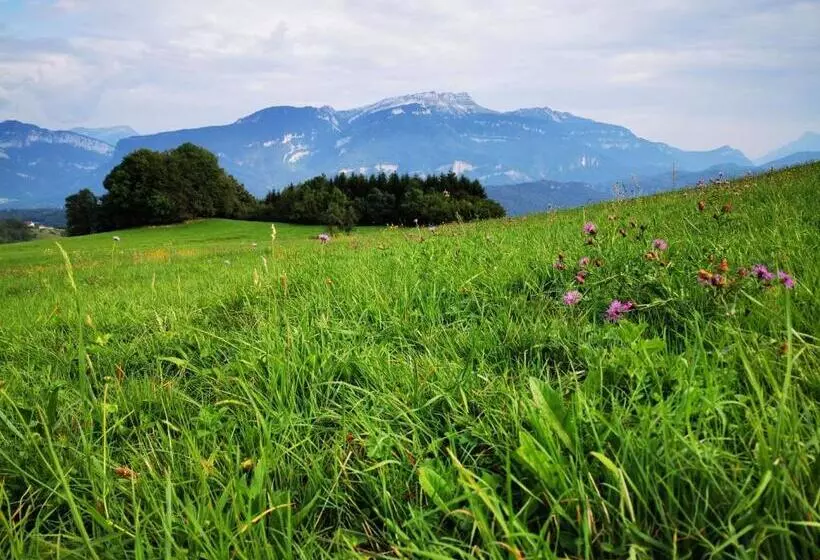 ベッドアンドブレックファースト Chambres D Hotes Ysalice