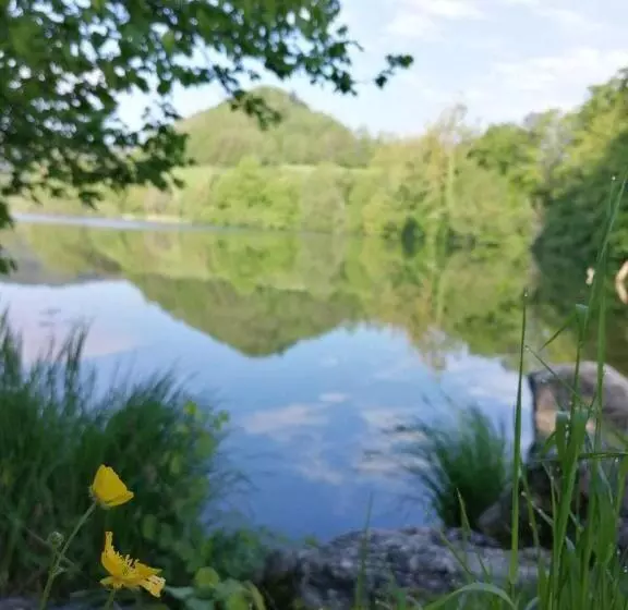 ベッドアンドブレックファースト Chambres D Hotes Ysalice