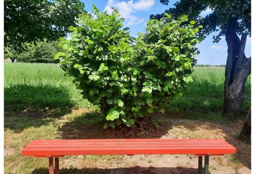 住宿加早餐  La Casina