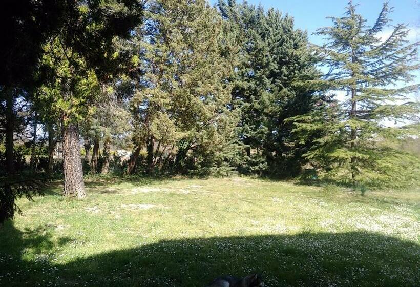 Bed and Breakfast Le Verger