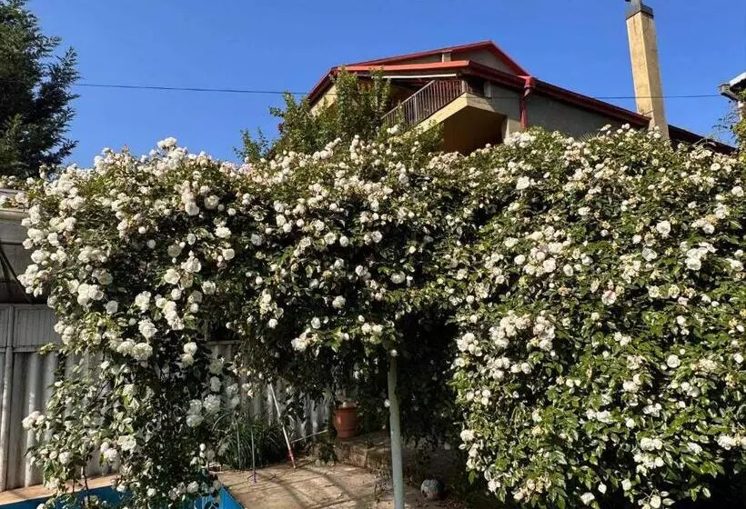 پانسیون Green Hill House