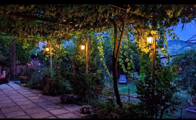 پانسیون Green Hill House