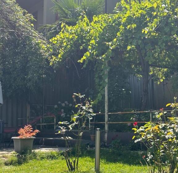 پانسیون Green Hill House