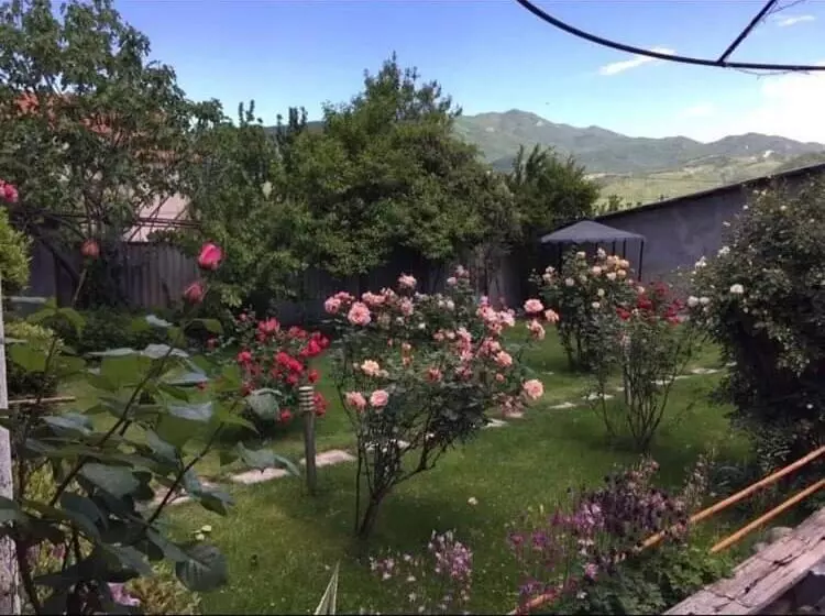 پانسیون Green Hill House