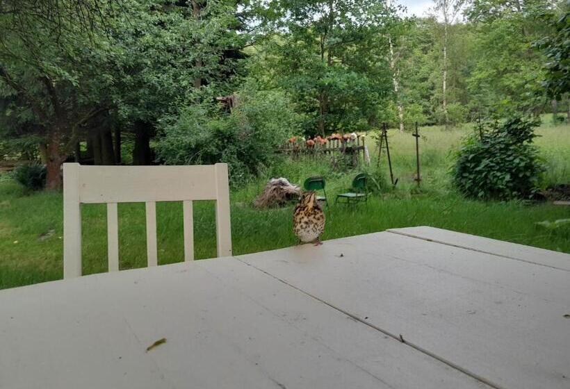 펜션 Chaloupka Pod Jabloněmi