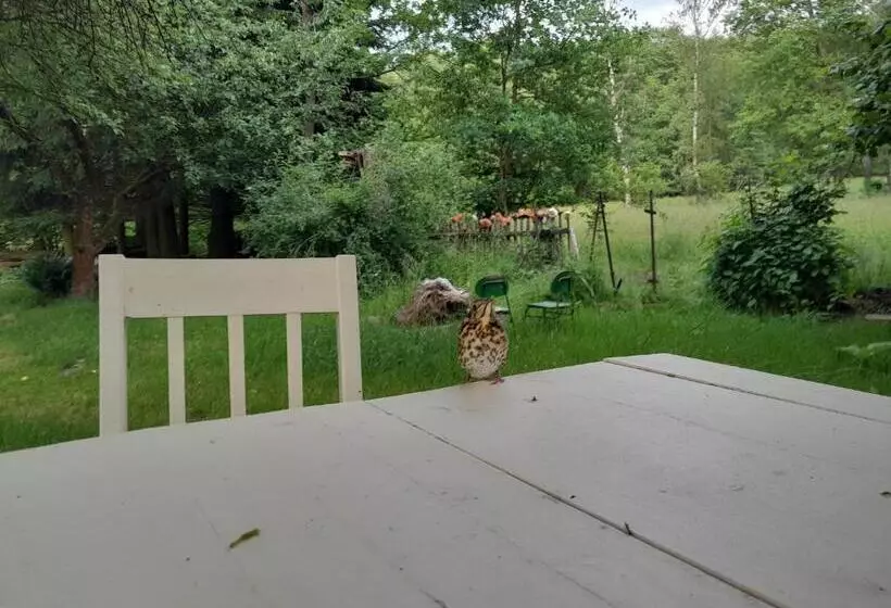 Majatalo Chaloupka Pod Jabloněmi