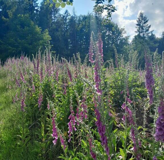 펜션 Chaloupka Pod Jabloněmi