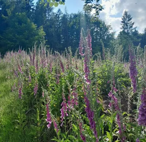 Majatalo Chaloupka Pod Jabloněmi