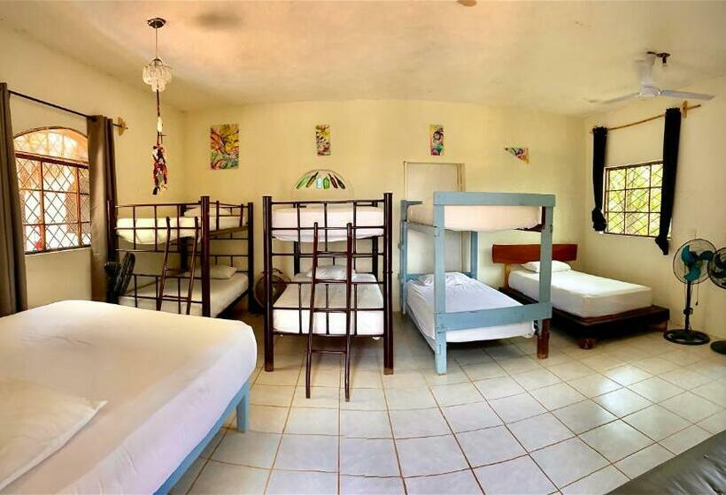 فندق صغير Hostalito Lahar