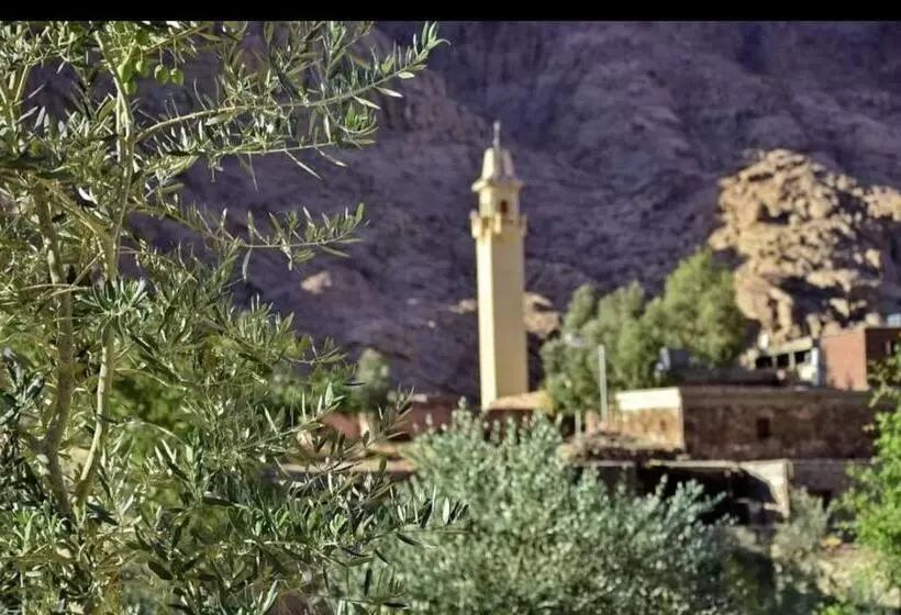 تختخواب و صبحانه Abu Salem Garden  كرم ابو سالم