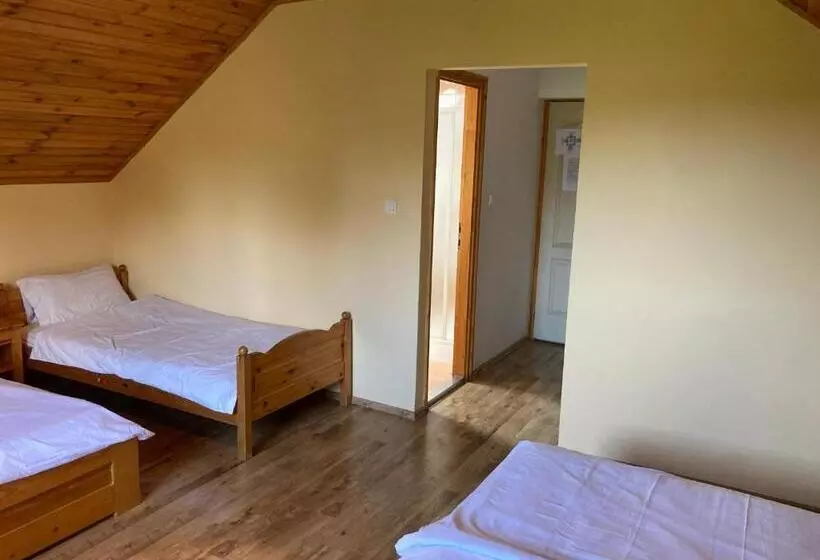 Aamiaismajoitus (B&B) Kancsal Harcsa Panzió és Halászcsárda