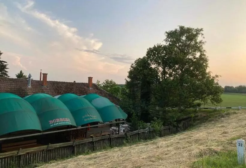 Aamiaismajoitus (B&B) Kancsal Harcsa Panzió és Halászcsárda