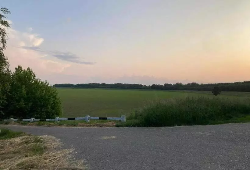 Aamiaismajoitus (B&B) Kancsal Harcsa Panzió és Halászcsárda