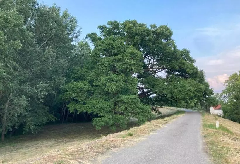Aamiaismajoitus (B&B) Kancsal Harcsa Panzió és Halászcsárda