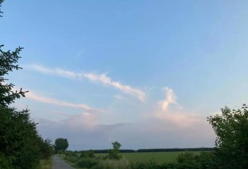 Aamiaismajoitus (B&B) Kancsal Harcsa Panzió és Halászcsárda