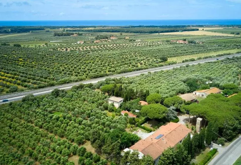 ホテル Antichi Palmenti Alloro