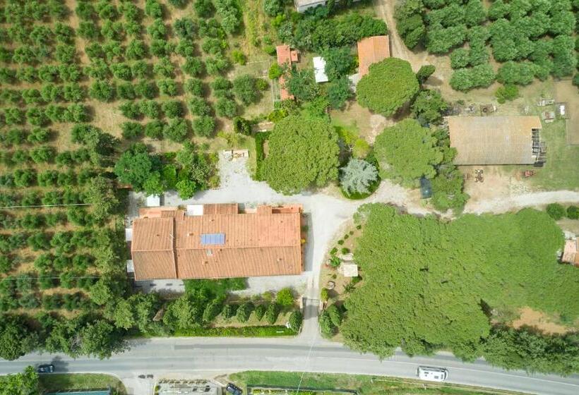 בית מלון כפרי Antichi Palmenti   Alloro