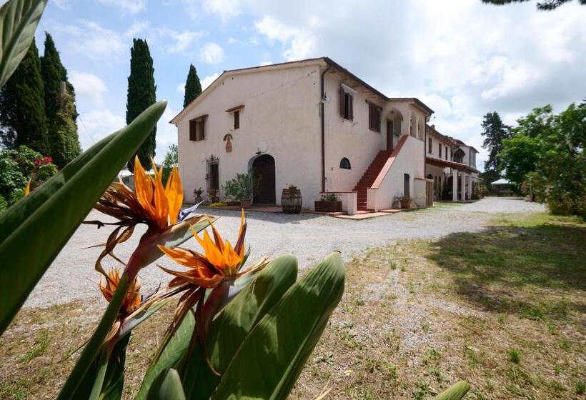 בית מלון כפרי Antichi Palmenti   Alloro