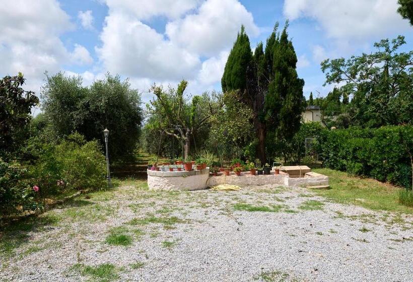 בית מלון כפרי Antichi Palmenti   Alloro