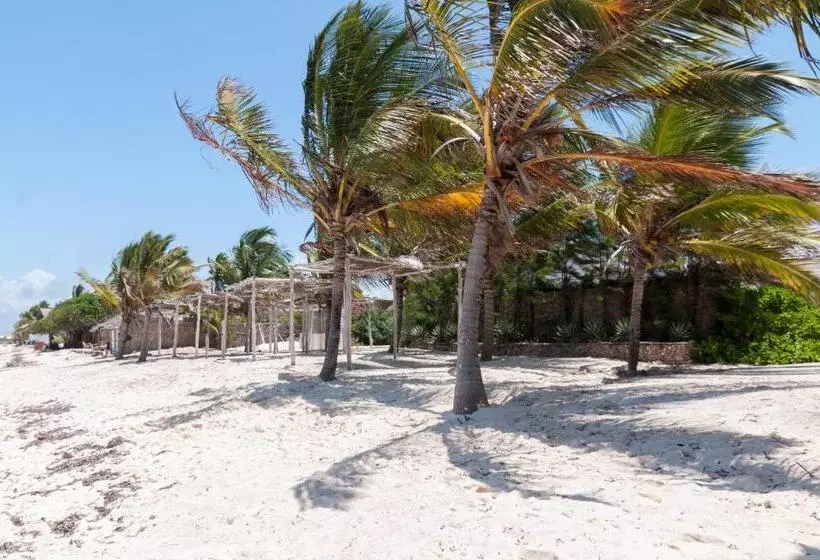 هتل Twiga Beach Resort