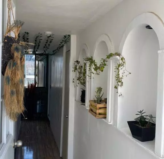 ペンション Casa Verde Hostal