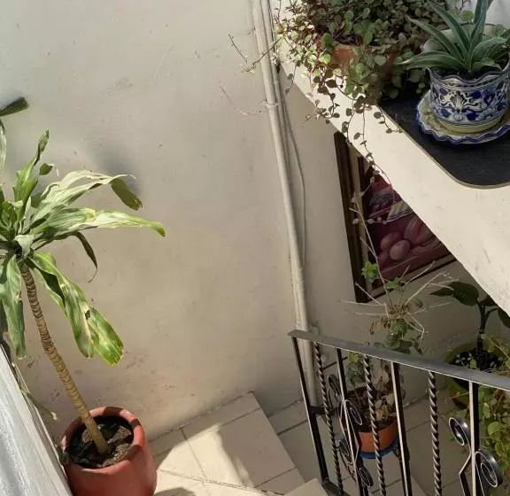 ペンション Casa Verde Hostal