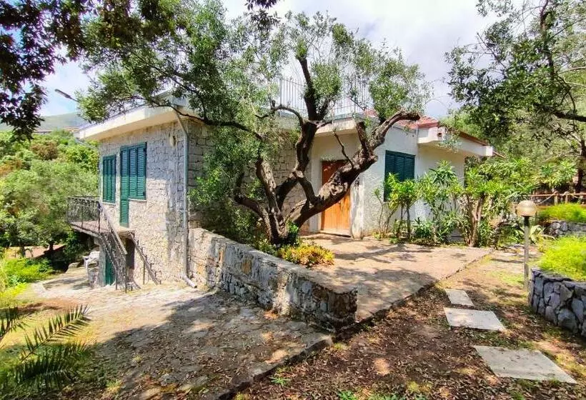 پانسیون Villa Irma