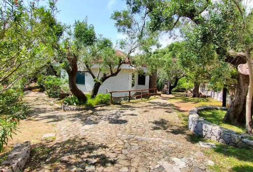 پانسیون Villa Irma