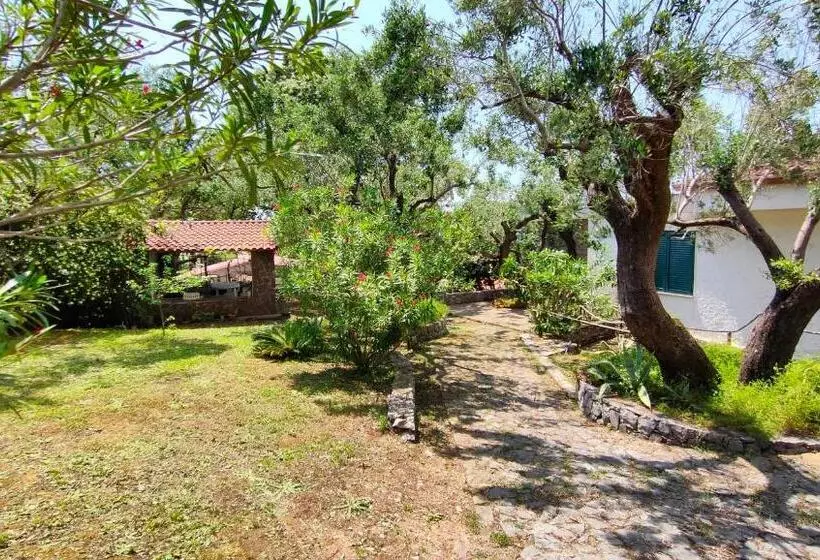 پانسیون Villa Irma