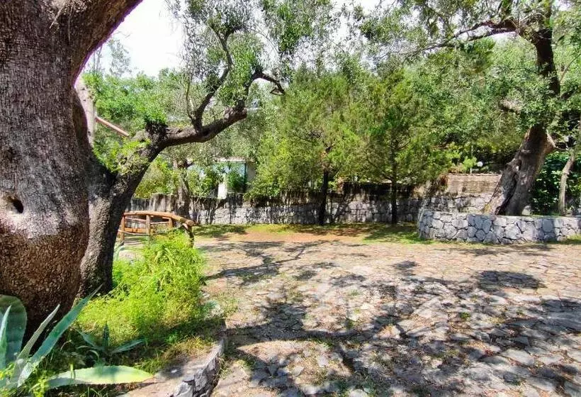 پانسیون Villa Irma