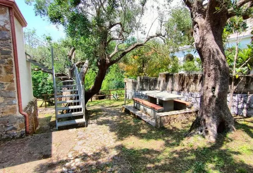 پانسیون Villa Irma