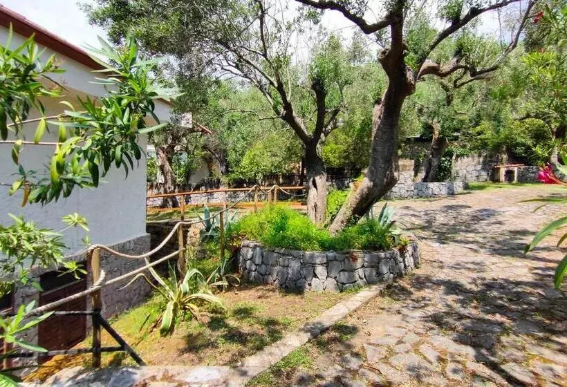 پانسیون Villa Irma