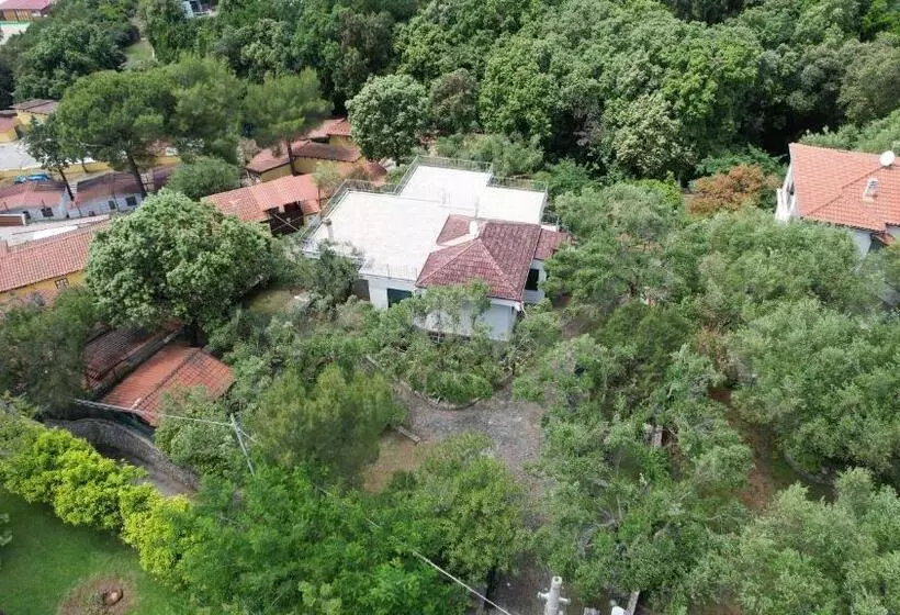 پانسیون Villa Irma
