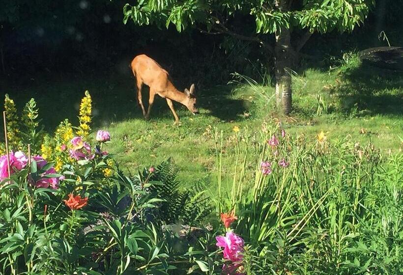 Пансион Oslofjord Idyll, Close To Oslo City Centre