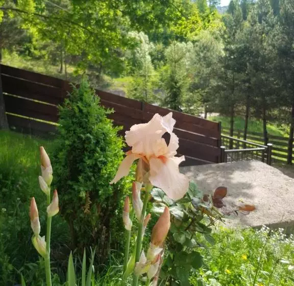 Pensiunea Sara Pe Deal