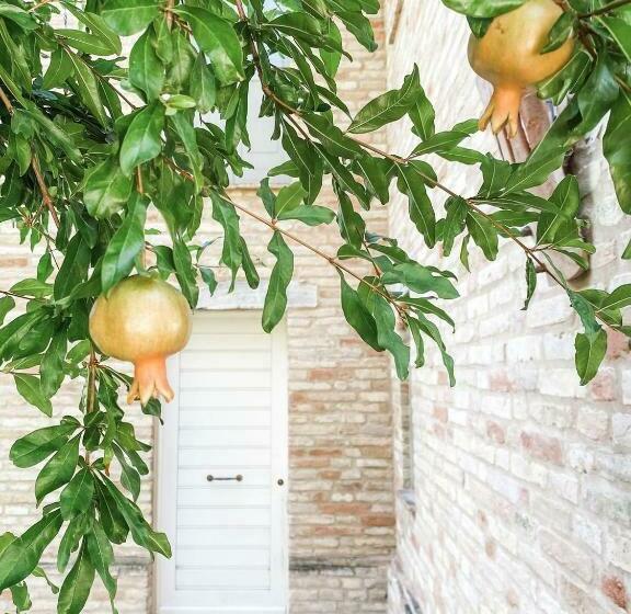 אתר נופש Villa Rilassati   Appartement Rilassati   Infinity Pool   Privé Terras   Familie Vriendelijk