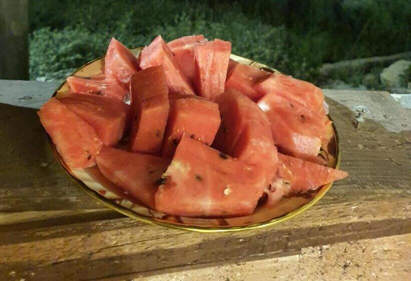 هاستل Dana Historic Village