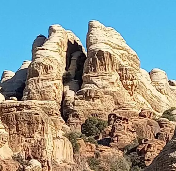 هاستل Dana Historic Village